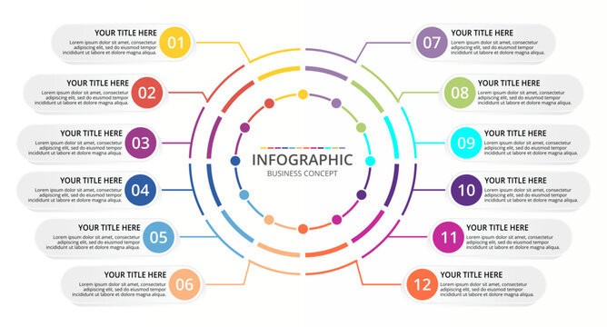 Circular infographic business concept template with 12 steps for workflow presentations and corporate reports.