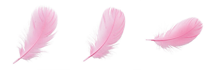 Soft pink feather set floating gracefully in different angles, delicate fluffy bird feathers isolated on transparent background, high-quality romantic or beauty concept PNG clip art collection for gra © Joker
