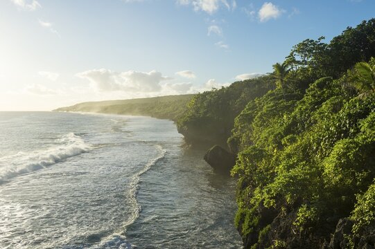 Coastline, South Pacific, Niue