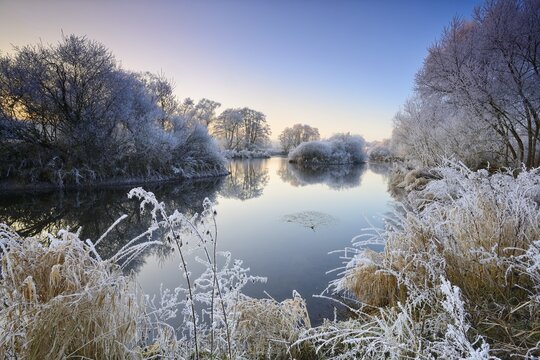 River landscape in winter at the river Eder, trees with hoar frost, natural river bed, near Bad Wildungen, Hesse, Germany