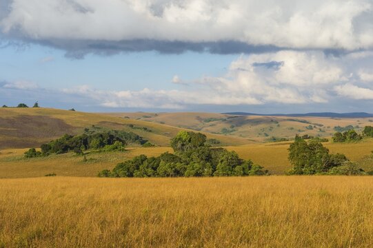 Overlook over the highlands of the Nyika National Park, Malawi