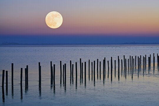 Moonrise in wintry landscape on the shore of Lake D&uuml;mmer, sunset, ice rink, silence, Lembruch, Lower Saxony, Germany