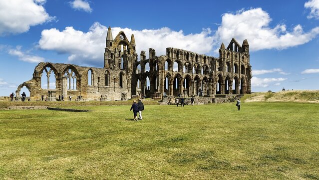 Ruin of the Gothic monastery Whitby Abbey with visitors, Whitby, Yorkshire, Yorkshire Dales, England, United Kingdom