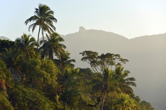 Coastal rainforest of Brazil's Costa Verde with Mt Pico do Papagaio, Ilha Grande, State of Rio de Janeiro, Brazil