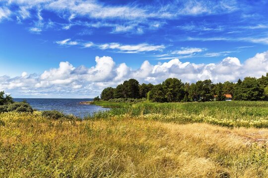 Typical coastline in summer, Ecker&ouml;, Fasta &Aring;land, Aland Islands, Aland Islands, Finland