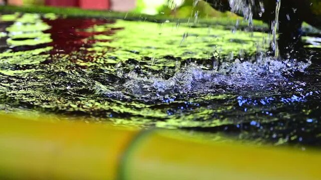 水盤舎の御浄め