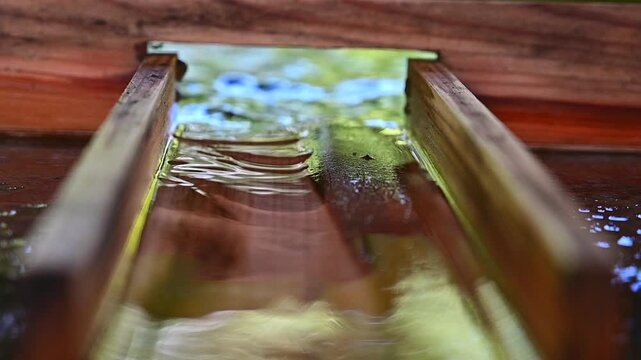 水盤舎の御浄め