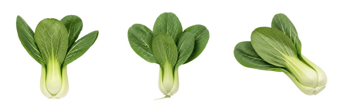 Set of Three Fresh Baby Bok Choy Heads Isolated on White Background, Organic Chinese Cabbage PNG, Healthy Green Leafy Vegetable for Asian Cuisine Recipes, High-Quality Ingredient for Culinary Photogra
