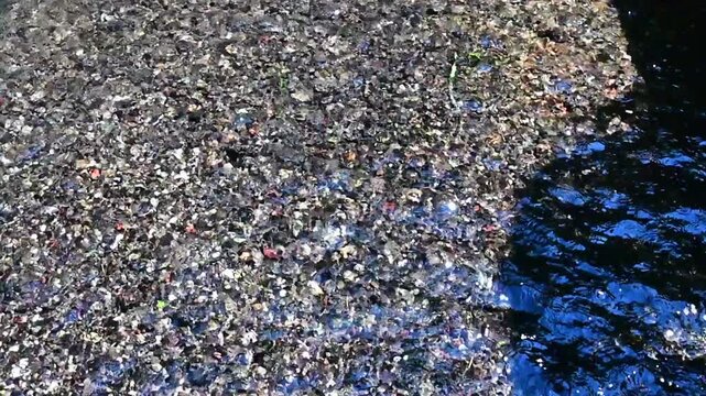 流れる清流