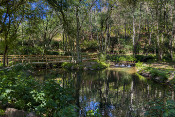 Obraz premium Wooden Footbridge Over a Calm Pond in Parque de Lazer de Nadais Portugal