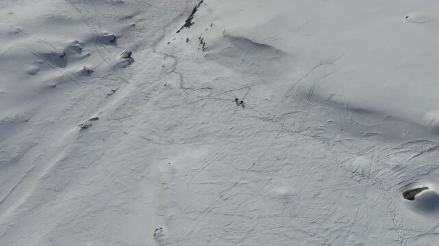 Aerial view of two hikers walking across the snowy slopes of Parco Naturale Paneveggio Pale di San Martino Primiero San Martino di Castrozza, Trentino-Alto Adige, Italy.