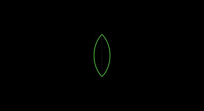 Green neon leaf shape pulsing animation on animation black background