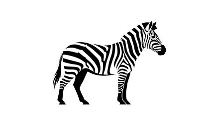 Obraz premium Striking Black and White Zebra Standing Tall in Profile.