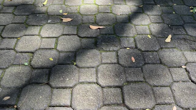 Textured cobblestone walkway pattern in the park with dramatic sun light and shadows