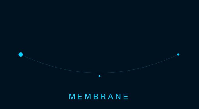 Membrane physics animation: elastic surface tension and wave motion animation
