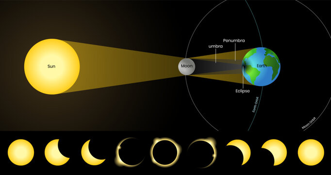 Vector illustration of a total solar eclipse diagram, showing the alignment of the Sun, Moon, and Earth with labeled umbra and penumbra shadows. for astronomy education, science textbooks