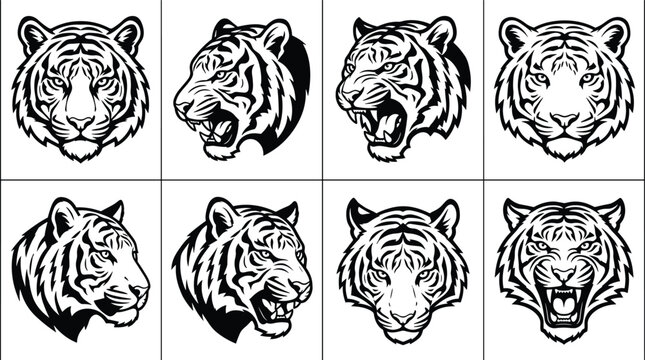Collection of eight tiger head in black and white line style featuring various expressions and angles for sports mascots or emblems