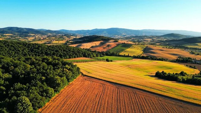 Breathtaking aerial view of rolling hills and vibrant patchwork fields during a beautiful sunny day.