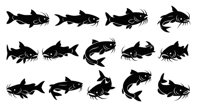 Catfish Silhouettes Collection: Diverse Poses and Angles