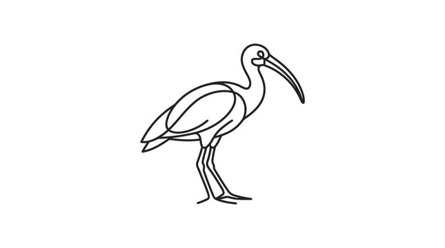 Elegant Line Art Ibis Bird Silhouette, Minimalist Wildlife Illustration