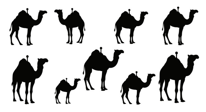 Camel Silhouettes Pattern