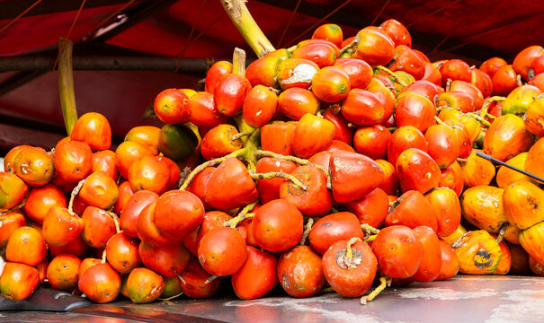 Fresh chontaduro displayed in a Colombian market square, showcasing the vibrant colors and natural texture of the tropical fruit.