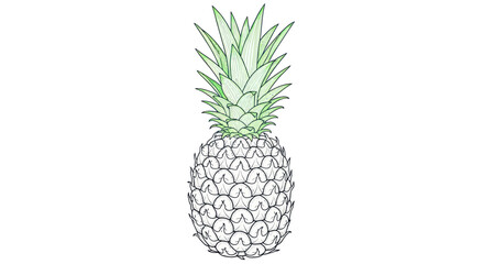 Fototapeta premium Fresh Pineapple Illustration Isolated on White Background, Tropical Fruit Sketch
