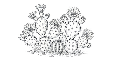 Prickly Pear Cactus Plant with Blooming Flowers, Line Art Illustration © Abdul