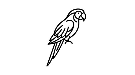 Naklejka premium Minimalist line art drawing of a parrot, elegant black and white bird illustration