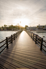 Fototapeta premium pier in La Paz’s seaside promenade with palm trees, art sculptures, and ocean horizon at the morning, Baja California Sur, Mexico. 