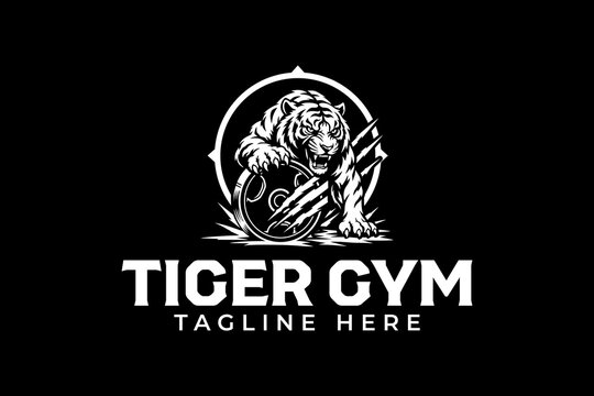 Fierce tiger with weight plate, claw mark modern logo design for gym and fitness. Roaring tiger predator mascot illustration logo for workout and lifting sport. Wild tiger logo design for bodybuilder