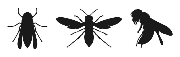 insect silhouette icon © Adel