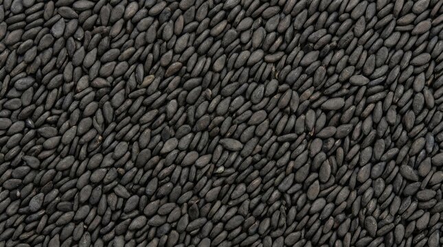 Close-up texture of black cumin seeds (nigella sativa) with seed texture food texture spice textur