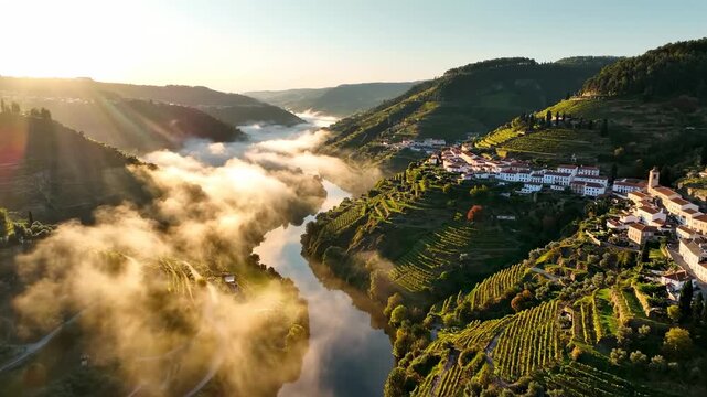 Scenic Sunrise Over Douro Valley Vineyards