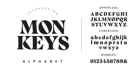 Monkeys heavy high contrast display serif font with sharp geometric counters for modern editorial layout © happy
