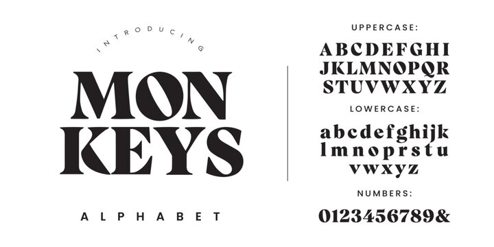 Monkeys heavy high contrast display serif font with sharp geometric counters for modern editorial layout