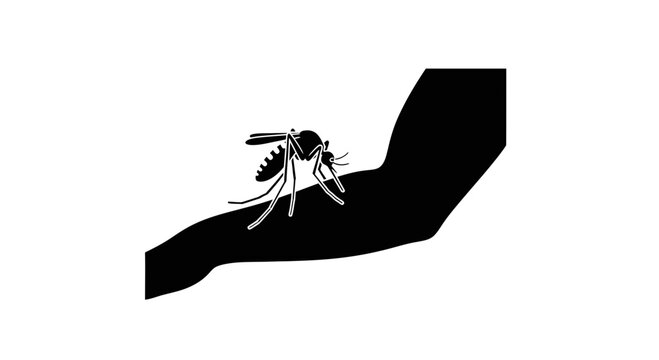 Mosquito insect landing on a human arm serves as a medical or educational illustration to highlight the risks of vector-borne diseases and the necessity for effective pest control measures.