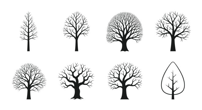 Set of Diverse Bare Trees Silhouettes in Winter or Autumn