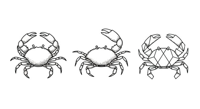 Geometric crab claws border with halftone texture