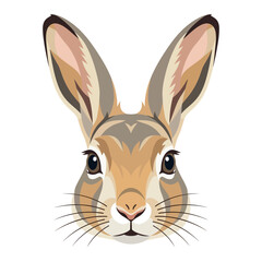 Fototapeta premium Close-up portrait of a jackrabbit face, detailed illustration, white background