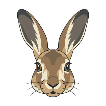 Close-up portrait of a brown hare's face with large ears and alert eyes, white background.