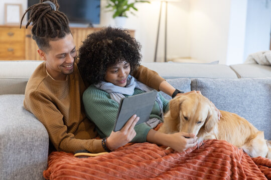 African American couple sitting close on gray sofa at home in knits, holding tablet petting dog