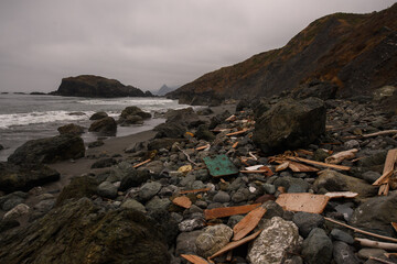 Oregon coast © Wendy