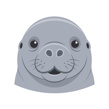 Cute Manatee Face Illustration