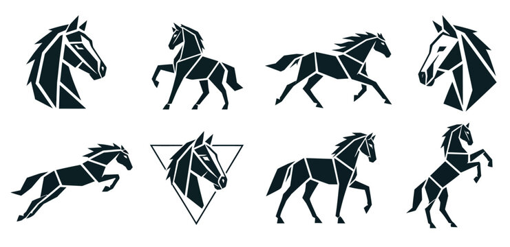 Black Horse Silhouettes Running Free.