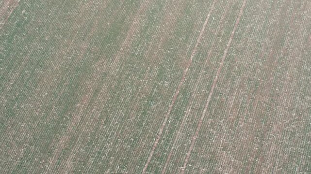 A short aerial drone video of an agricultural area in south central Kentucky.  The video is an interesting perspective of a winter wheat field.