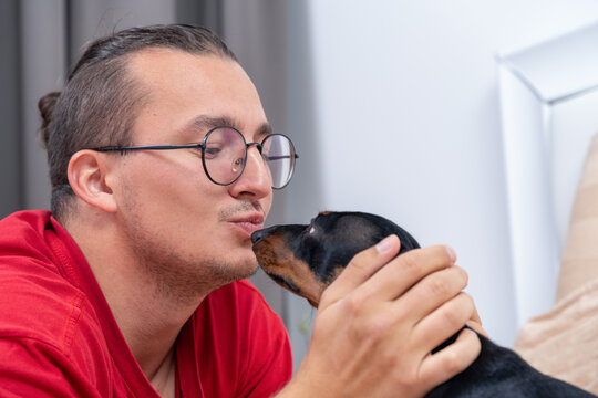 Young man with glasses in red shirt kissing small dachshund dog held in hands indoors, loving bond between owner and pet, affection concept.