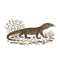 Fototapeta premium Varanus Lizard with Spotted Pattern Walking in Desert Landscape