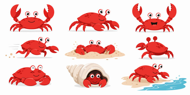 A group of red crabs are playing on and near the beach sand with one hiding in a shell image-333.ai