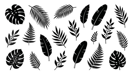 Assortment of black tropical plant leaves, perfect for summer graphic elements © matahari
